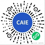 为面试和能力证明做